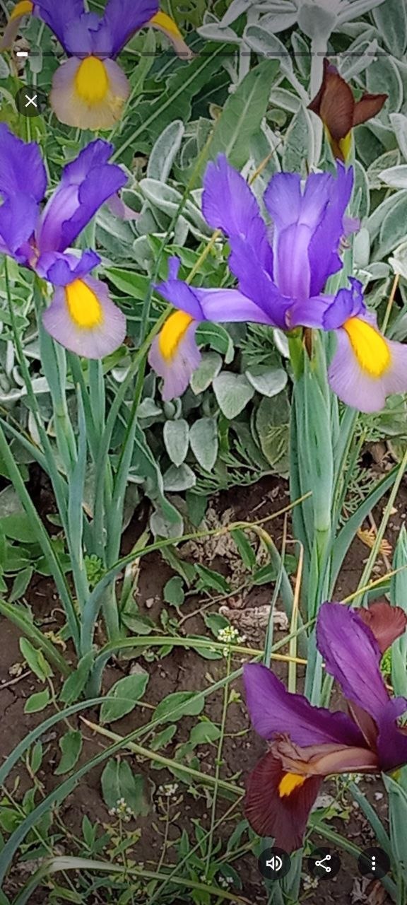 Юлия Семякина: Доброе утро, жители и гости Генического округа! Юлия Семякина: Доброе утро, жители и гости Генического округа!