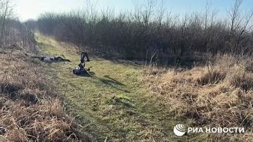 Теракт предотвратили в Ставрополе, сообщает ФСБ