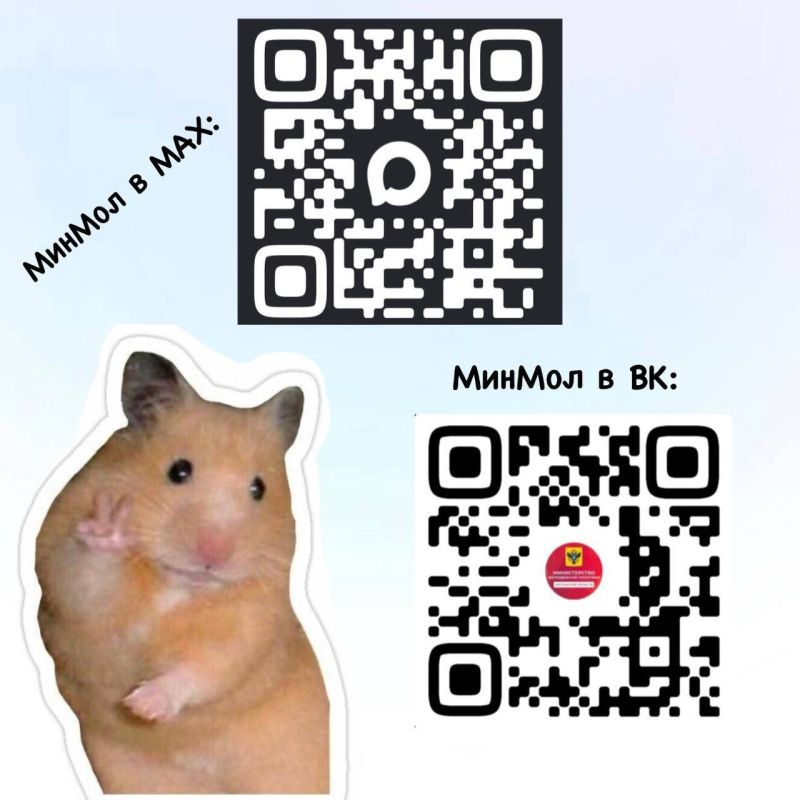 �� ��� �� �������� �� ��� � MAX � VK?