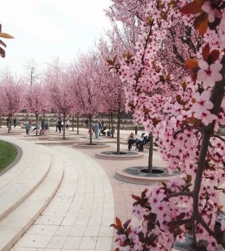 ��������� ����������� � ������