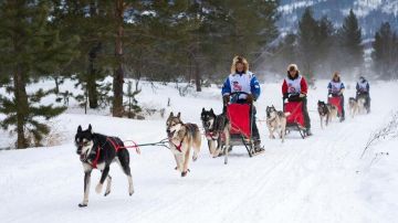 �� ������� ���������� ����� �� �������� ��������, ����������� ������ ���