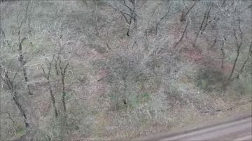 ������� ����� � ����: ���������� �� ����������� ����������� ���������� ������� ��� � ����� �������