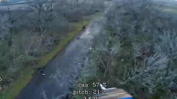 Запорожский фронт.. Ликвидация заблудившегося укробота в окрестностях населённого пункта Зарница