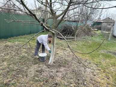 �������� ��������� ��������� ���������� �������� ���� ����������