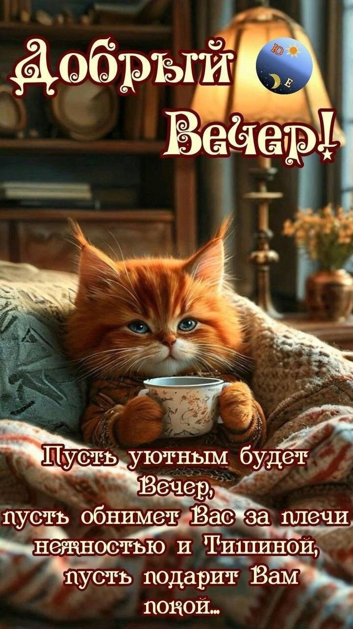 Всем доброго вечера, друзья!