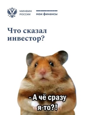 Готовы инвестировать?. «Хомяки режут лося», «мамба» и «дядя Коля» в трейдинге – если эти фразы ставят вас в тупик, возможно, вы говорите с рынком на разных языках