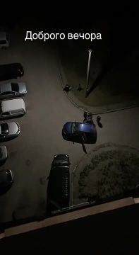 Енот из Херсона: Еще одному мужику, повезло, что поздним вечером на улице оказалось достаточное количество людей, чтобы отбиться от гестаповцев