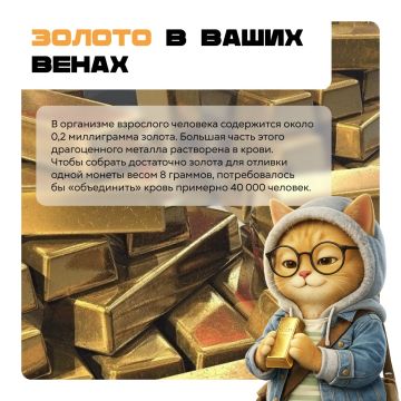 Иногда реальность удивляет больше любого фильма