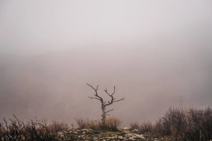 В Херсонской области 30 марта ожидаются дожди и высокая пожароопасность