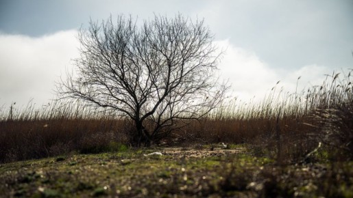 �������� ������: ���������� ����������� ����� ����