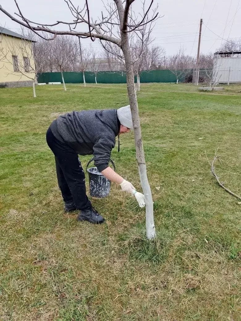 Весенний субботник объединил работников культуры села Тавричанка Весенний субботник объединил работников культуры села Тавричанка
