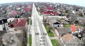 Херсон. Сегодня одна свинья не доехала до точки