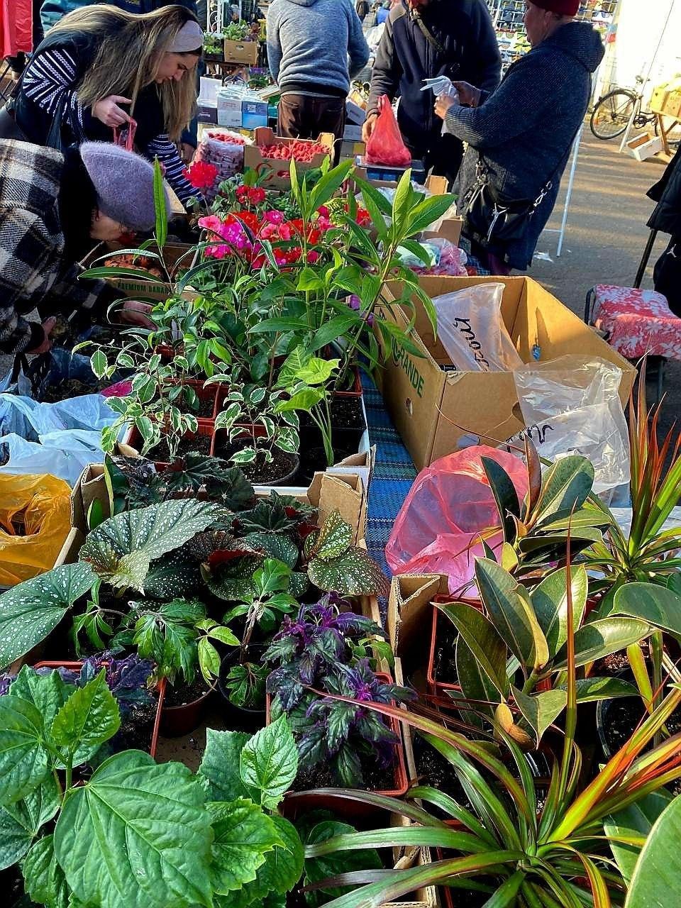 Ярмарки на Левобережье Херсонской области Ярмарки на Левобережье Херсонской области