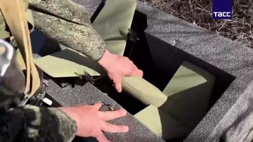 Дрон-перехватчик "Елка" уничтожил ударный беспилотник ВСУ в Херсонской области