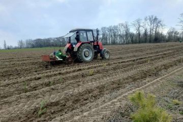 � ��������� ����������� ������� �������� ����� ����� �������� ����� ��������