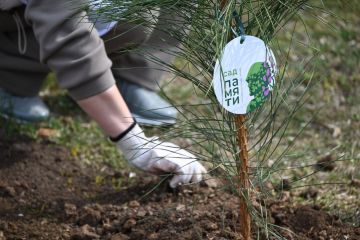 � ������������ ������ � ������ ����� ���� ������ �������� 50 �������� ����� � �������� �����