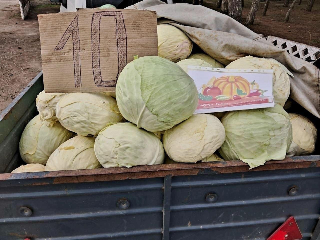 Ярмарки на Левобережье Херсонской области