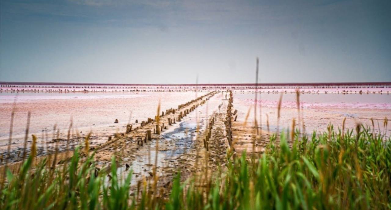 Игорь Кастюкевич: Херсонская область сегодня отмечает 82 года со дня образования! Игорь Кастюкевич: Херсонская область сегодня отмечает 82 года со дня образования!