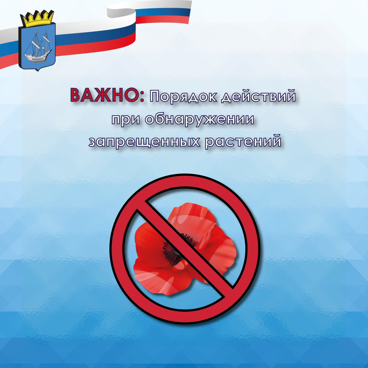 Администрация Алешкинского муниципального округа информирует