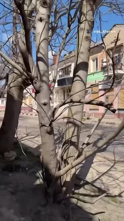 Херсон чужими глазами