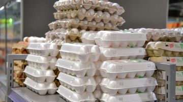 ������ ��������: � ���������� ������� ���������� ���� � �����