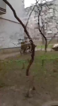 ���� �� �������: ������. �� ������ � ������� ���������� ������ ���� � ����� � ����������� �����������