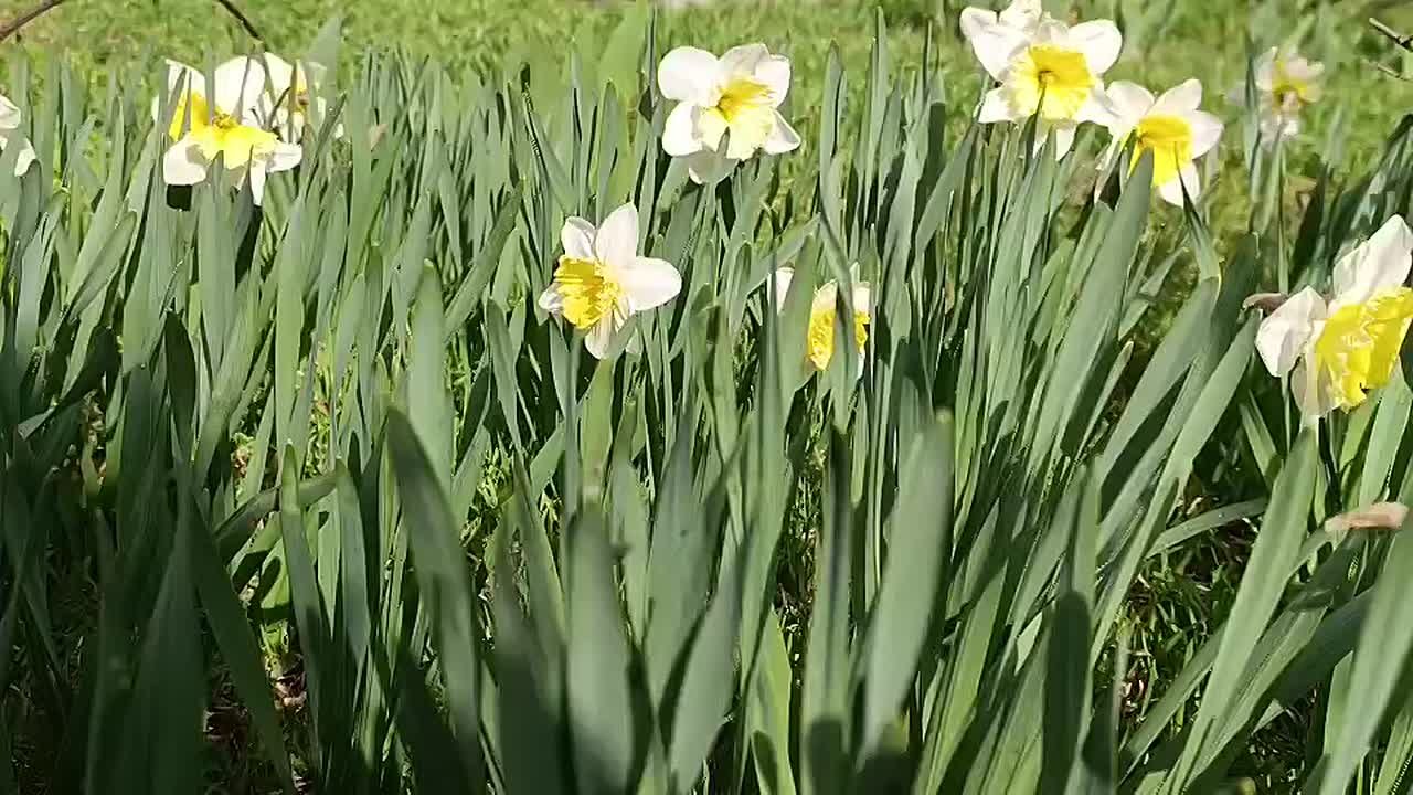 Доброе утро, жители Каховского округа!