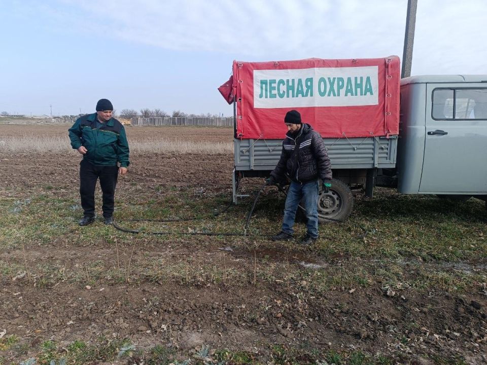 В Новотроицком питомнике провели полив и обработку междурядий для здорового роста саженцев В Новотроицком питомнике провели полив и обработку междурядий для здорового роста саженцев