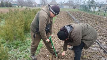 � ������������ ������� �������� ������ ��� �� ����������� ������� ��� �����������