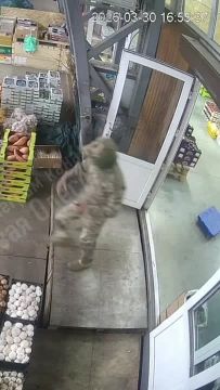 � "����������" ������������ �������������� "�����������"