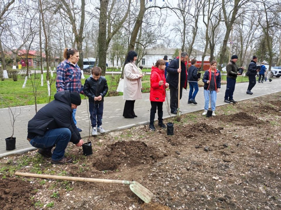 В Троицком парке Новотроицкого муниципального округа сегодня высадили 60 саженцев деревьев: березы, яркие гибискусы и церцисы В Троицком парке Новотроицкого муниципального округа сегодня высадили 60 саженцев деревьев: березы, яркие гибискусы и церцисы