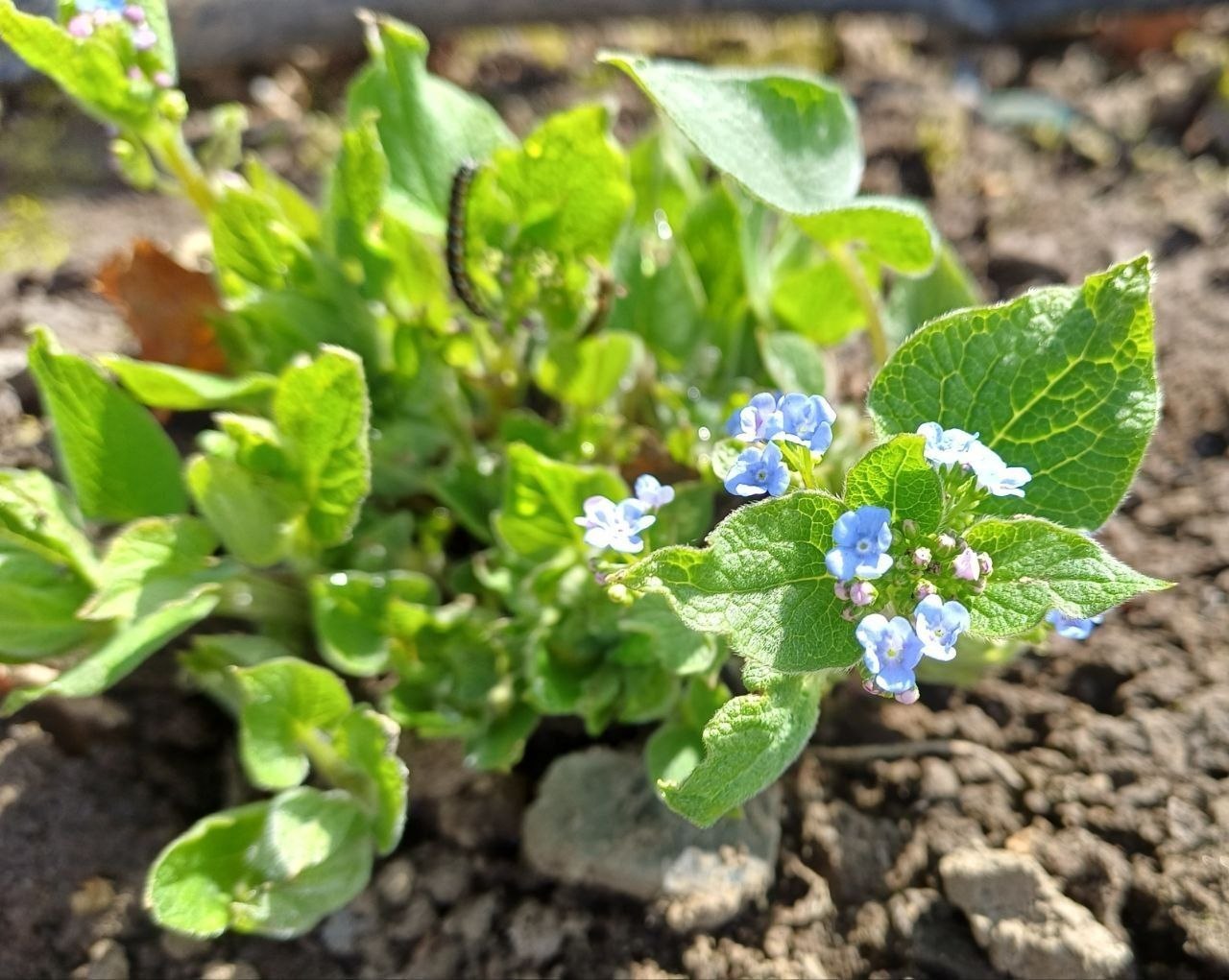 С добрым утром, друзья, с новым хорошим днём!
