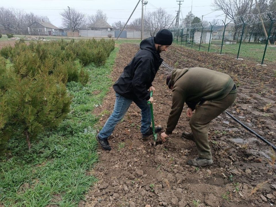 В Новотроицком округе провели доращивание сеянцев туи для повышения приживаемости лесных культур В Новотроицком округе провели доращивание сеянцев туи для повышения приживаемости лесных культур