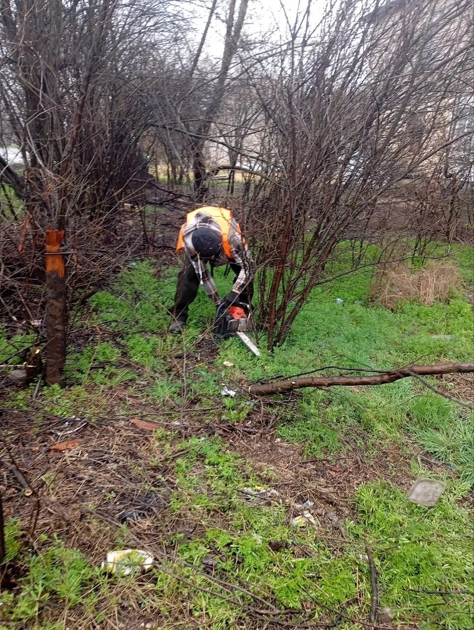 Работы по благоустройству и санитарной уборке Работы по благоустройству и санитарной уборке