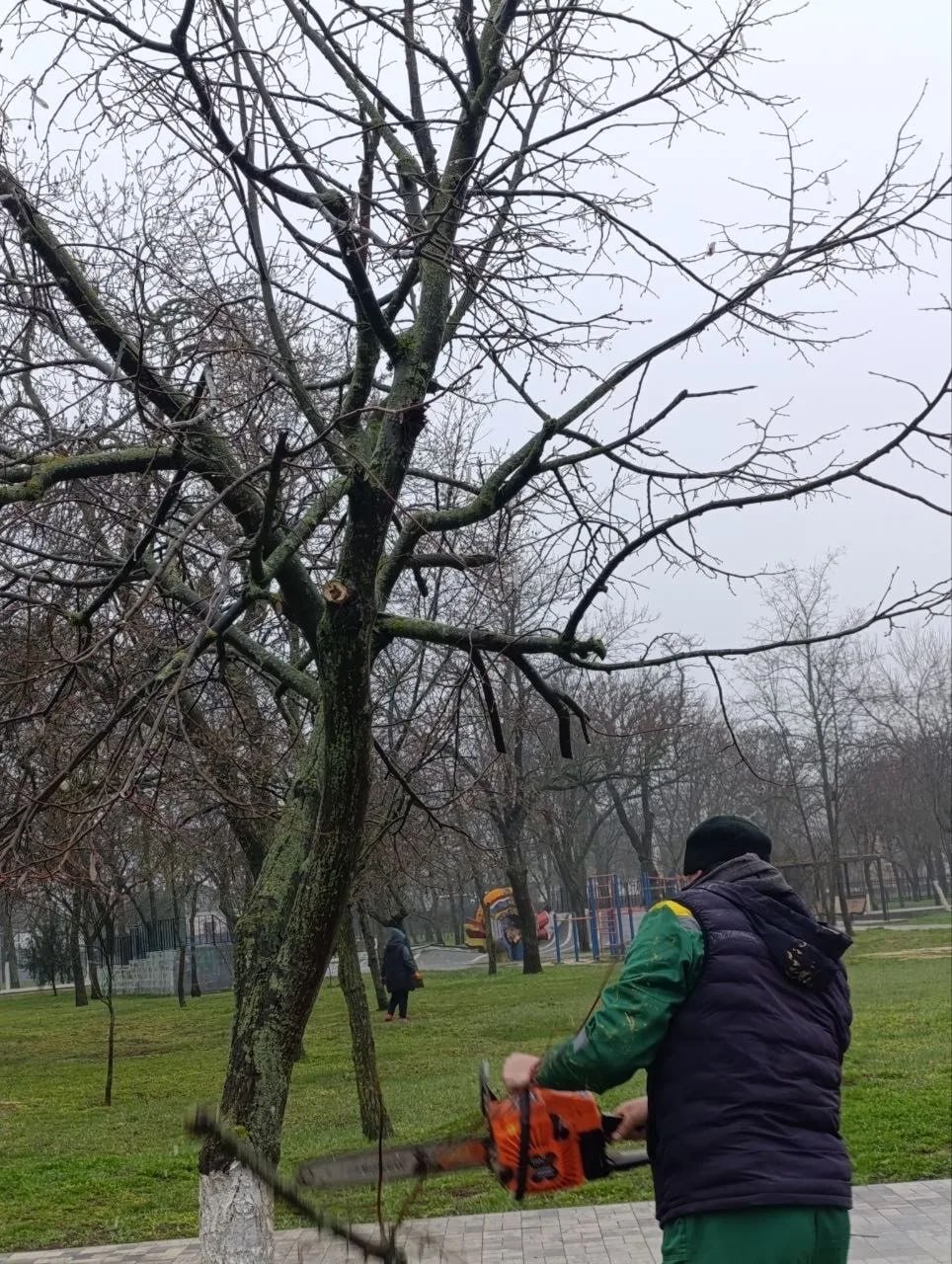 Работы по благоустройству и санитарной уборке Работы по благоустройству и санитарной уборке