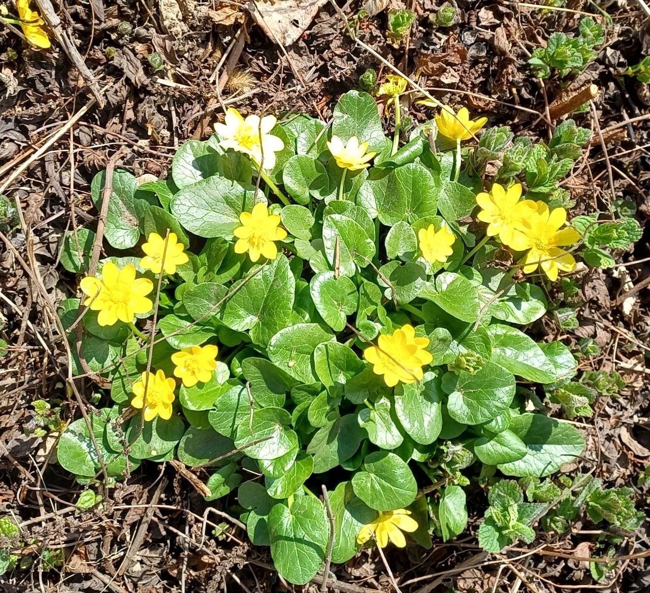 С добрым утром, друзья, с новым хорошим днём! С добрым утром, друзья, с новым хорошим днём!