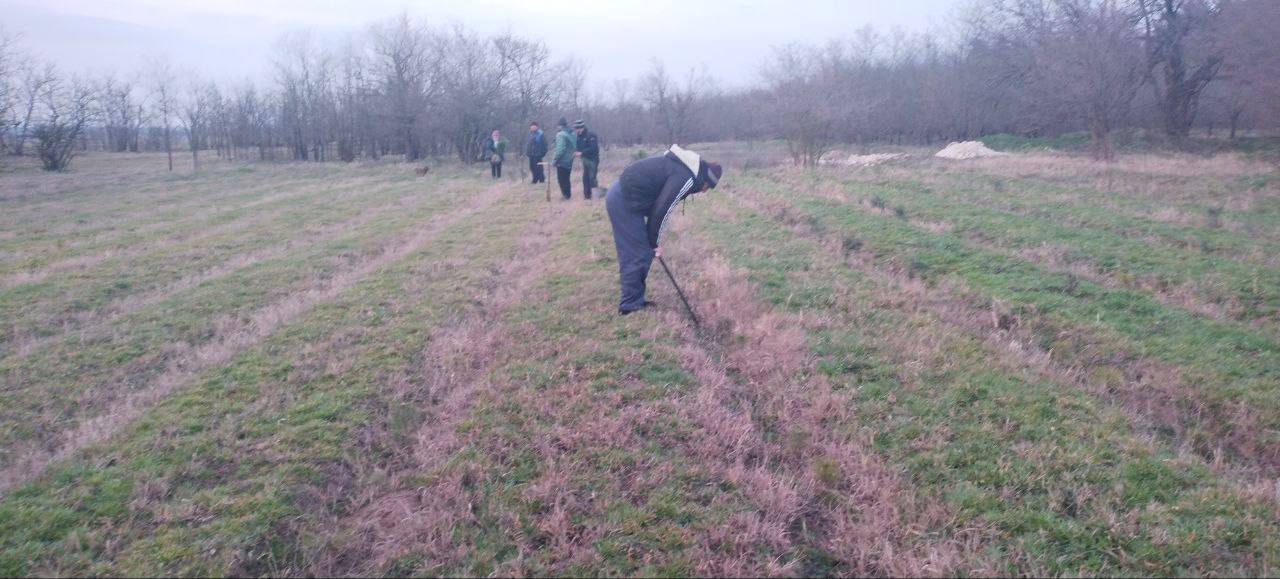 Сотрудники Рыбальченского лесничества приступили к уходу за сеянцами в школьном питомнике Сотрудники Рыбальченского лесничества приступили к уходу за сеянцами в школьном питомнике