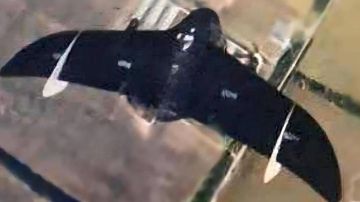 ������ ����� ���� ������ ���: ��� ����� ���� �� ����� ��������