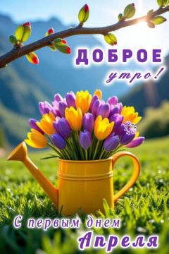 ������ ����, �����!. ������� �����, 1 ������