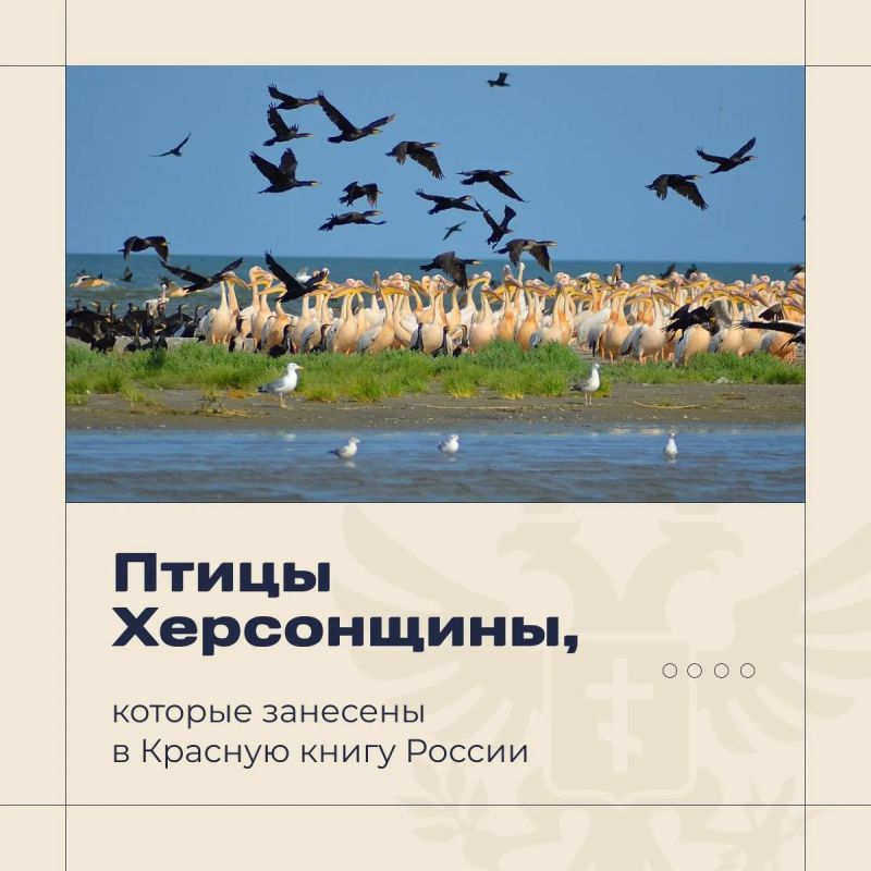 �������� ������: ���������� ������� - ������ ����� ��� ����