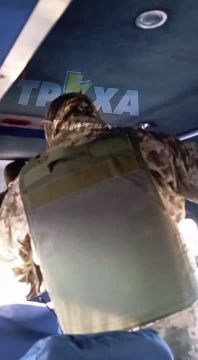 ���� �� �������: ���������. ������ ��������� ��������� ������ ���������� ������� ��������� � ������ ������ ����� ����� �������� ������������