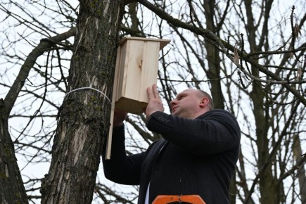 � ������������ �� ������ ������ ������������� ����� �� ��� ���� � �� ����� ����� �2 ���������� 17 ����� ������������