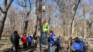 ������� �������� ������� �������� �� ����������� ����������� � ����������� ��������-����