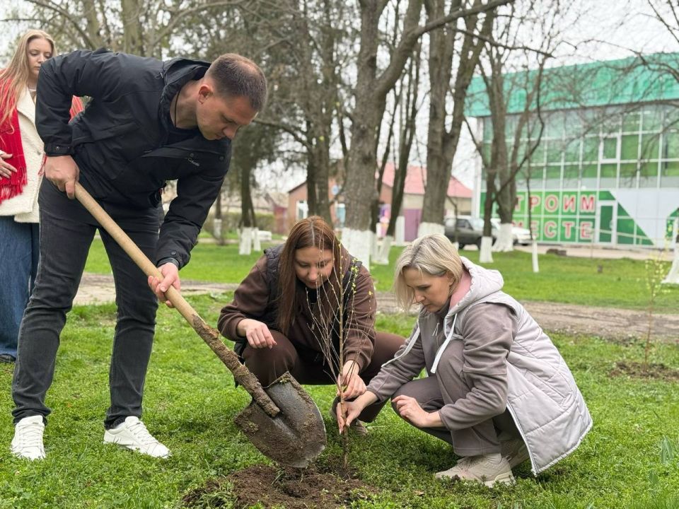 Деревья дружбы: вклад в будущее без границ Деревья дружбы: вклад в будущее без границ