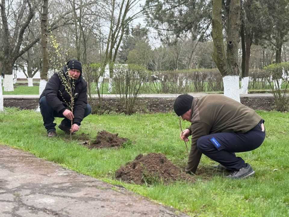 Деревья дружбы: вклад в будущее без границ Деревья дружбы: вклад в будущее без границ
