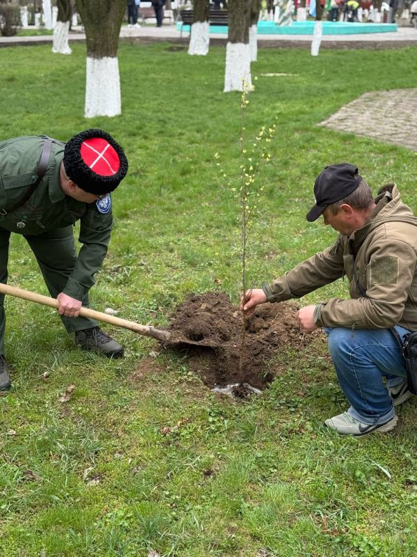 Деревья дружбы: вклад в будущее без границ Деревья дружбы: вклад в будущее без границ