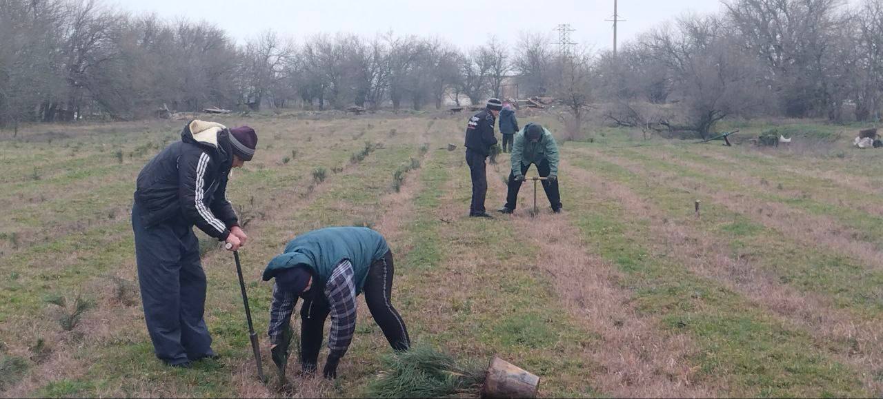 Сотрудники Рыбальченского лесничества приступили к уходу за сеянцами в школьном питомнике Сотрудники Рыбальченского лесничества приступили к уходу за сеянцами в школьном питомнике