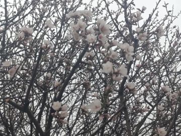 ������ ����, ������� ������ � ����� ����������� ������!