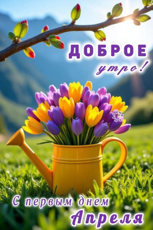 ������ ����, �����!. ������� �����, 1 ������