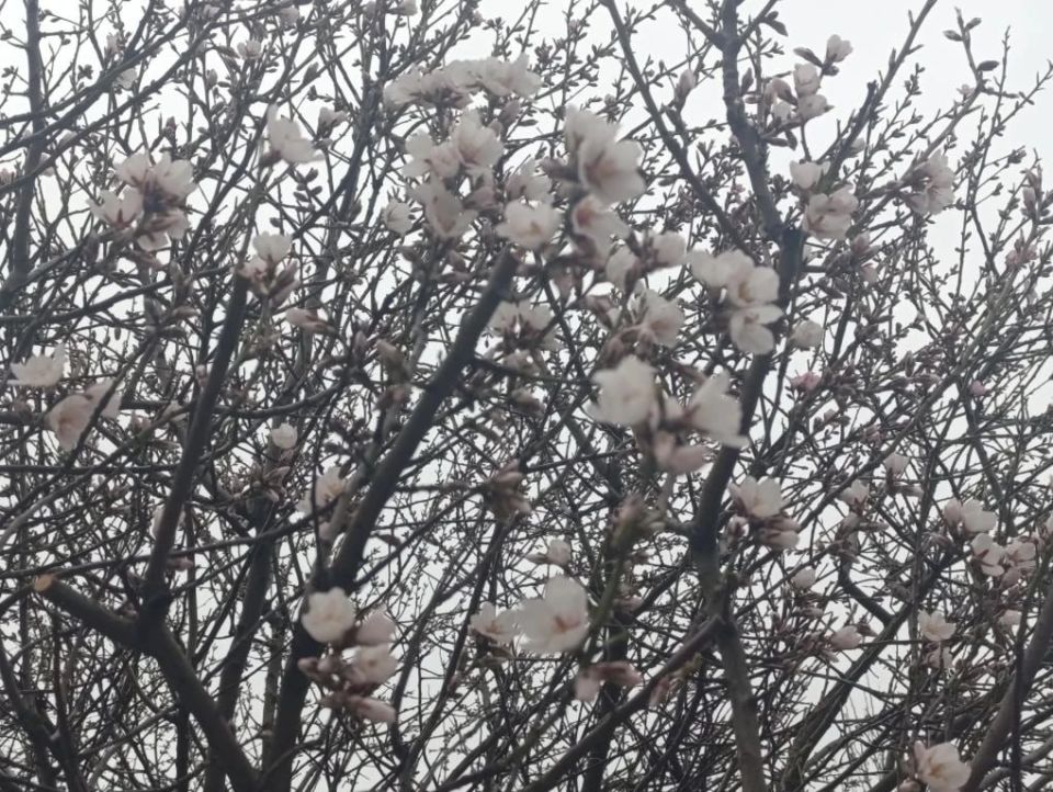 ������ ����, ������� ������ � ����� ����������� ������!